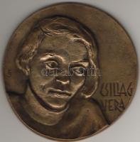 "Csillag Vera" nagyméretű modern bronz plakett szig.:E.J. T:2