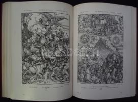 1904 Dürer: Festmények, nyomatok, fametszetek 447 képben, német nyelvű monográfia kiadói vászonkötés...