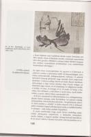 1973 Miklós Pál: A sárkány szeme - Bevezetés a kínai piktúra ikonográfiájába, Corvina Kiadó, Bp., il...