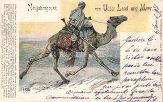 1898 Ueber Land und Meer camel, New Year (cut)