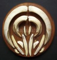 Falra akasztható komplett vaddisznóagyar trófea d: 18cm