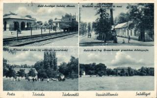 Sződliget vasútállomással, vasúti vendéglővel és mozival