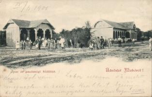 Makó Ipar- és Gazdasági Kiállítás