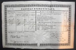 1850 Díszes Tanodai bizonyítvány szárazpecséttel