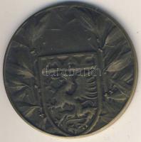 1875. "Magyar Athlétikai Club" Br emlékérem T:2