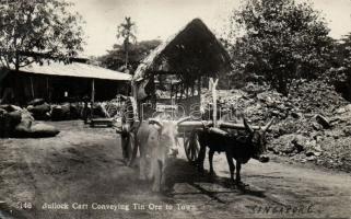 Bullock cart, Singapore