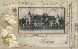 Nagykároly Károlyi castle Emb. litho