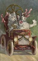 Cats automobile, artist signed