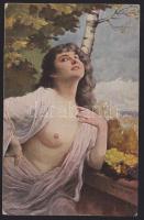 Erotic art postcard s: E. Schneider