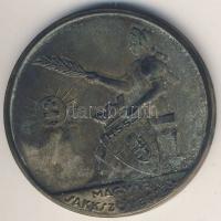 1940-41. "Magyar Sakkszövetség-Budapesti Csapatbajnokság I.osztály" II. helyezés díjérem eredeti díszdobozban T:2-