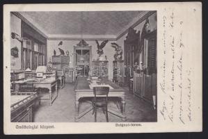 Budapest XII. Ornitológiai Központ, dolgozó-terem (b)