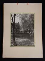 Fogarassy Gyula: Nyári témák, házi készítésű album 10 db nagyméretű fotóval