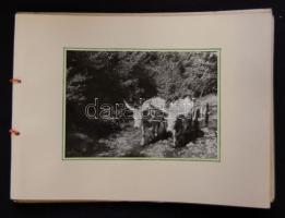 Fogarassy Gyula: Nyári témák, házi készítésű album 10 db nagyméretű fotóval