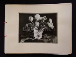 Fogarassy Gyula: Nyári témák, házi készítésű album 10 db nagyméretű fotóval