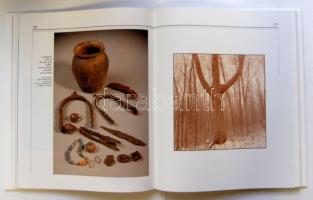 1999 XX. centuries in Slovakia: picture album in exclusive woodden binding + cd with music 208p. (Sl...