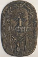 DN Pató Róza: "Babits Mihály 1883-1941" Br emlékplakett T:2