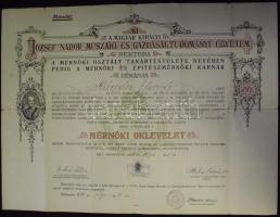 1938 Mérnöki oklevél 60x45 cm