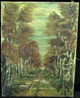 Jelzés nélkül: Őszi sétány, olaj-vászon 22x28 cm