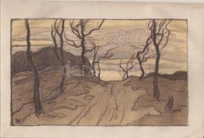 1913 A Művészet c. folyóirat komplett évfolyama. Szerkeszti Lyka Károly. Az Országos Magyar Képzőművészeti Társulat támogatásával kiadja Singer és Wolfner. Benne Körösfői kőnyomat, budai zsinagóga terve. (borító foltos és sérült)