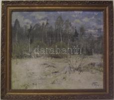 Rossz állapotú akvarell használható keretben / damaged painting in frame 65x55 cm