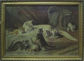 Macskák olajnyomat jó keretben / Oil print in good frame 80x55 cm