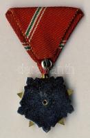 Szocialista Hazáért Érdemrend 1966, szalaggal T:2