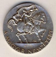 1989. "Erdély-A magyar nemzetért" Ag emlékérem 31,1g T:BU