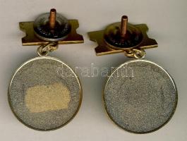 Szovjetunió 1956-1991. 2db Déli Hadsereg-csoport kitüntetés, egyik zománchibával T:2+,2