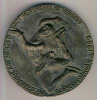 Székesfehérvár 1980. "Felszabadulási Nemzetközi Műkorcsolya verseny / Alba Regia" Br emlék...