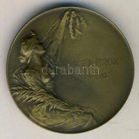 1934. "V.FILPROK" bélyegkiállítás Br emlékplakett eredti díszdobozban Szign.:Huguenin T:2