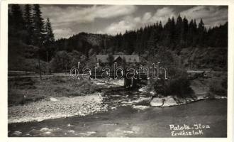 Palotailva forester cottage