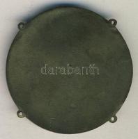 DN "Balaton-Siófok-Hungaria-Idegenforgalmi Hivatal" zománcozott Br emlékplakett T:1-