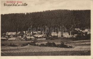 Bártfafürdő with Hotel Erzsébet (EB)