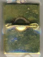 DN. Nagy Imre portréképes kitűző T:1-