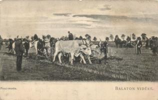 Balaton praxi-munka (EB)