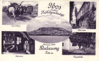 Badacsony Ibos szőlőgazdaság (non pc, hátoldalán reklám)