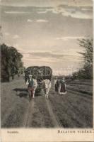 Balaton vidéke, hazatérés