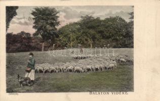 Balaton vidéke, juhnyáj