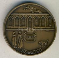 1973. "Éremgyűjtők Budapesti Vándorgyűlése 1979. IX.8.- Esztergom" Br piefort emlékérem sz...