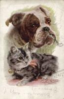 Dog and cat s: Valter