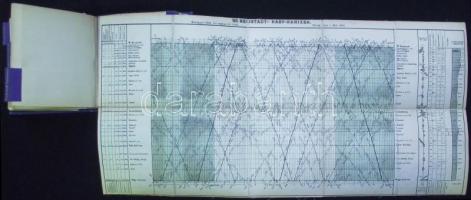 1904 Cs. és Kir. Déli Vaspálya Társaság Menetrend ábrák. Térképes menetrend-füzet 9 db kiahajtható 5...