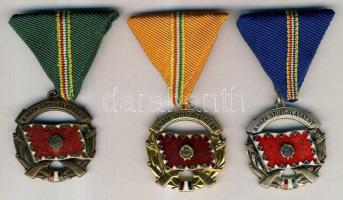 "A Haza Szolgálatáért Érdemérem" arany, ezüst és bronz fokozata szalaggal T:2