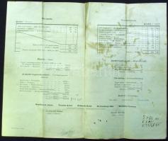 1894. "az első ujpesti Türr István hadastyán-egylet és női osztályának 1894. évi Mérleg-Számláj...