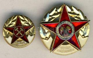 ~1960. "A Bányászat Kiváló Dolgozója" kitüntetés miniatűrrel, eredeti adományozói tokban T:1-/2+