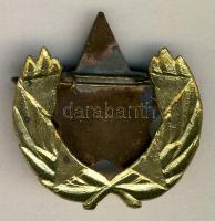 ~1950. "A Belkereskedelm Kiváló Dolgozója" kitüntetés eredeti adományozói tokban T:1-/2+