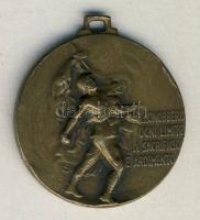 Olaszország I. Világháború 40. gyalogezred bologna Br emlékérem T:2 ph. / Italy World War I. 40th infantry Bologna Br medallion T:2 ph.