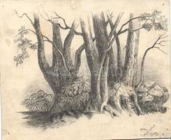 XIX. sz.: 2 db jelzés nélküli ceruzarajz, 15x13, 20x15 cm