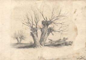 XIX. sz.: 2 db jelzés nélküli ceruzarajz, 15x13, 20x15 cm