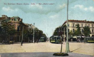 Sofia Marie Louise street with trams