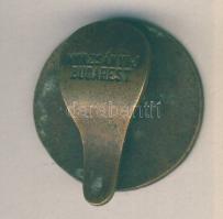 "Á.K. 1891." zománcozott Br gomblyukjelvény készítő:Morzsányi J. Budapest T:2